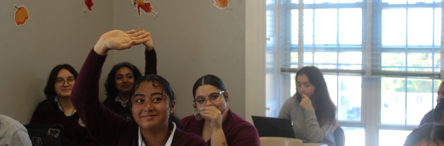 Student Raising Hand in Classroom